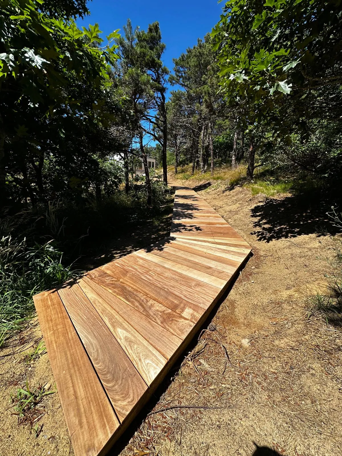 Cedar House project